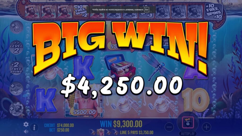 Pagos, apuestas y coeficientes en Big Bass Splash